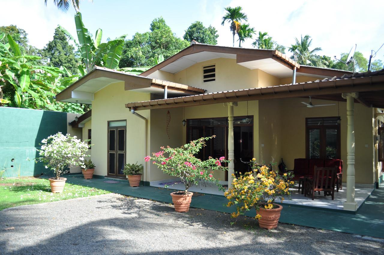 טאלפה Jacks Bed And Breakfast מראה חיצוני תמונה