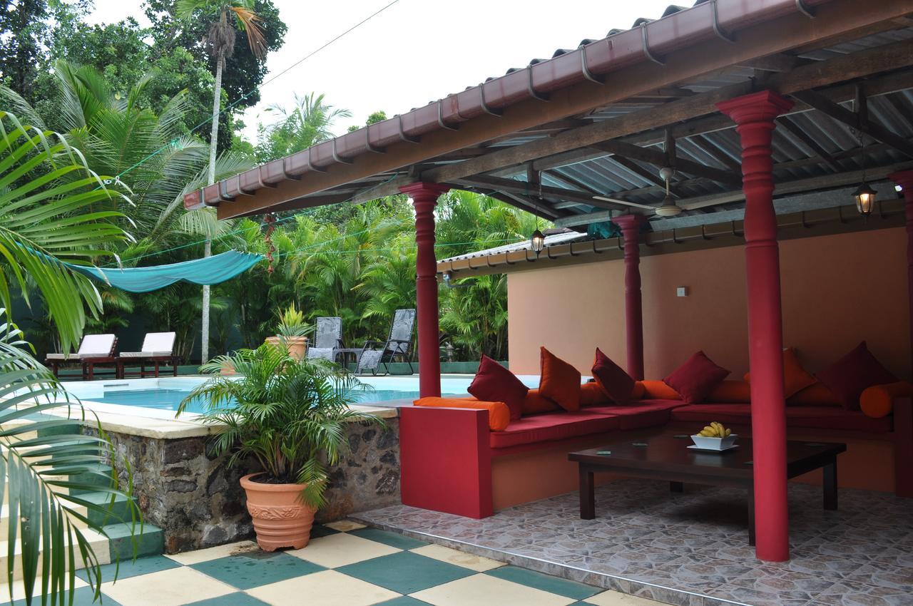 טאלפה Jacks Bed And Breakfast מראה חיצוני תמונה
