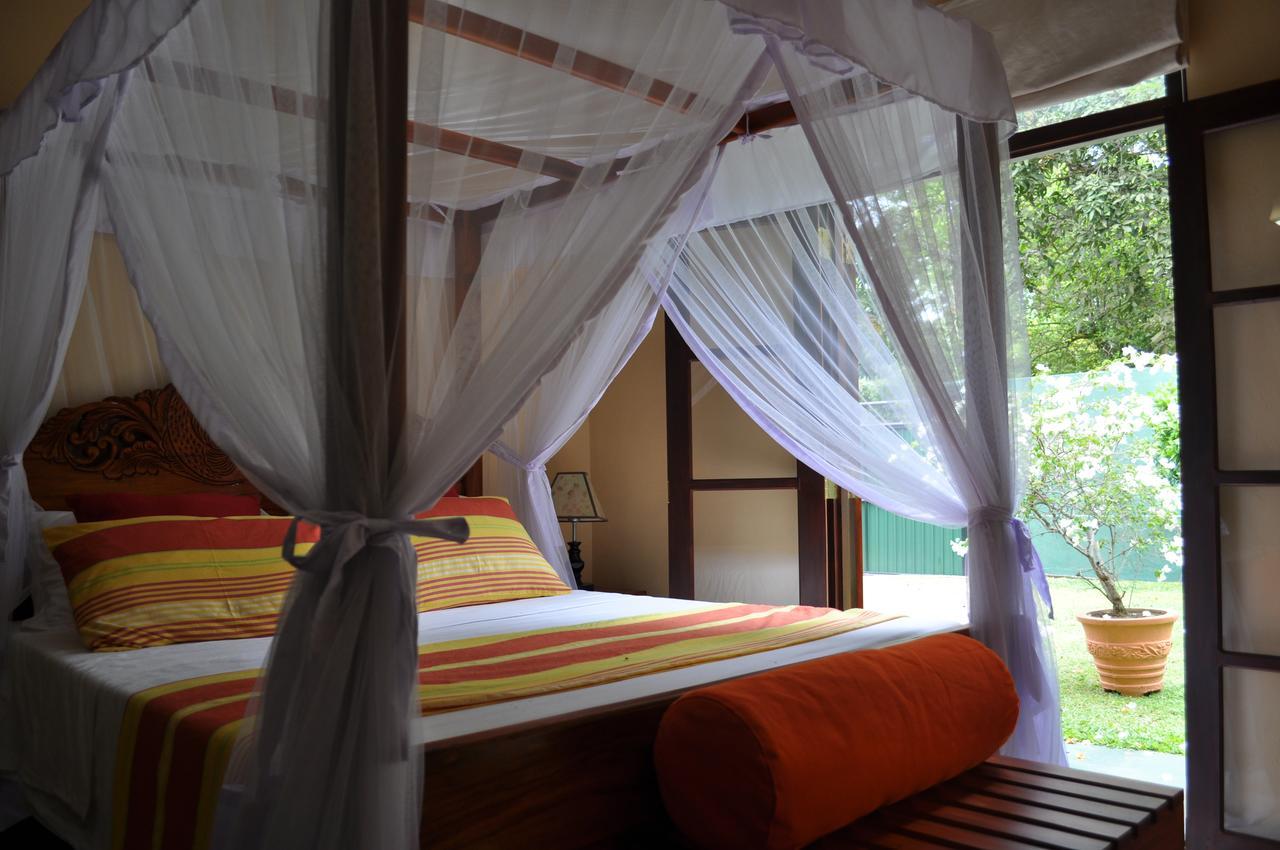 טאלפה Jacks Bed And Breakfast מראה חיצוני תמונה